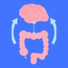 The Gut-Brain Connection: How Your Microbiome Controls Your Mental Health