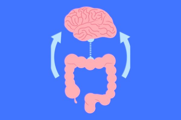 The Gut-Brain Connection: How Your Microbiome Controls Your Mental Health