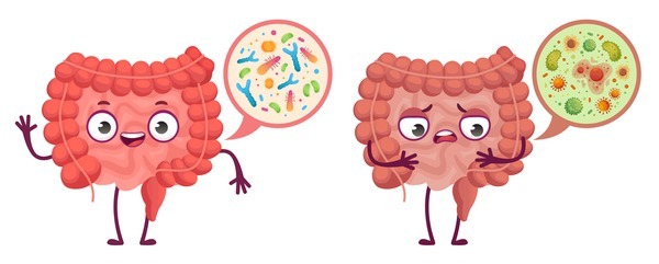 healthy gut vs. an unhealthy gut